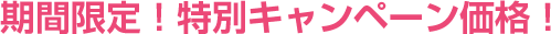 期間限定特別価格